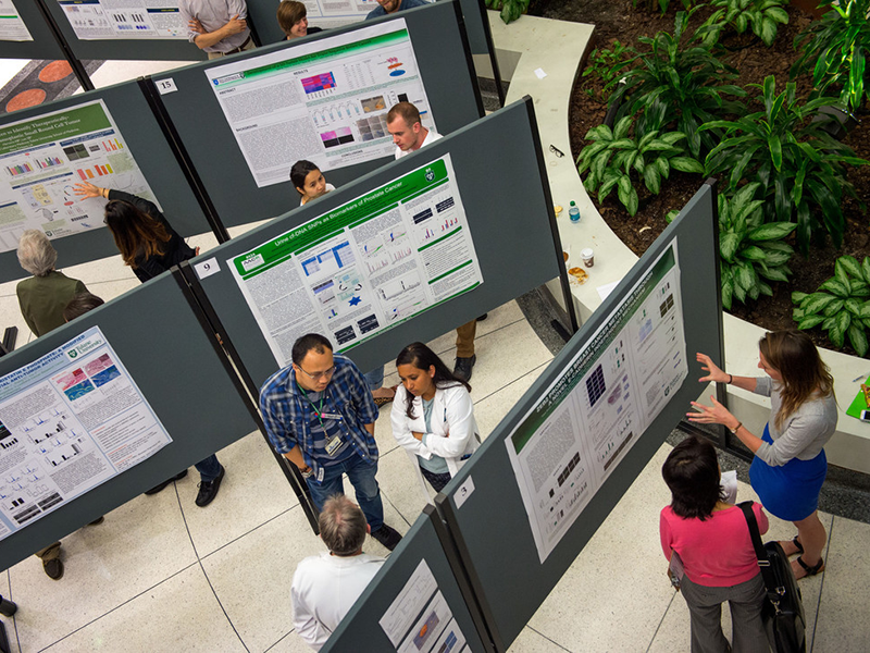 Poster presentations create a fan formation across the lobby during the annual Research Poster Days on Wednesday and Thursday (April 6-7, 2016) on the first floor of the J. Bennett Johnston Health & Environmental Research Building on the downtown campus. 